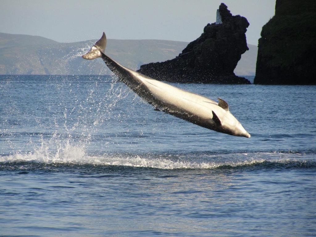 Dingle Skellig Hotel Luaran gambar